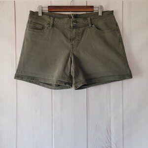 Buckle BKE Women’s Sz30 Green Denim Shorts, Y2K Jean Shorts, EUC